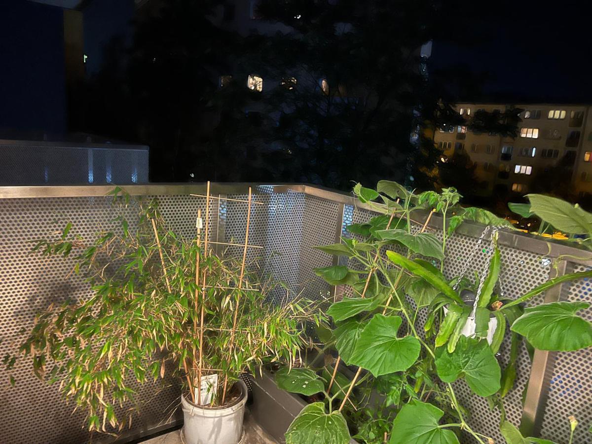 Apartment In Odra House 브로츠와프 외부 사진